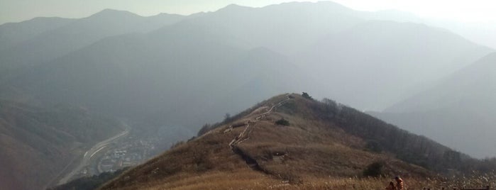 민둥산억새꽃축제 is one of 강원도 Gangwon-do.