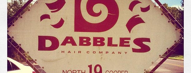 Dabbles Hair Co is one of Lieux qui ont plu à Raquel.