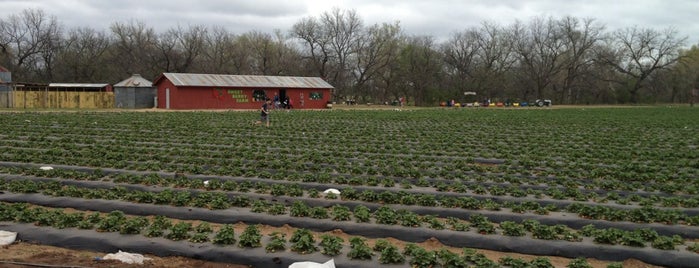 Sweet Berry Farm is one of Austin Area: Things To Do.