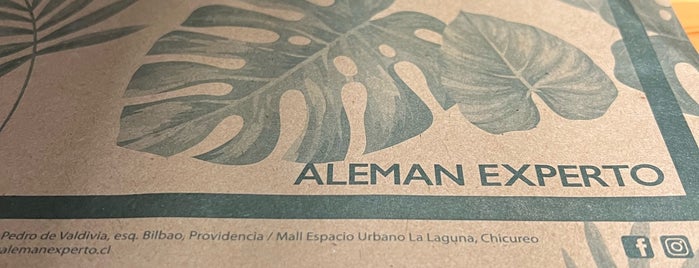 Alemán Experto is one of Sandwiches.