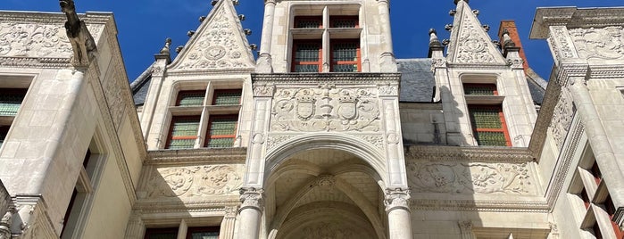 Hôtel Goüin is one of Tours.