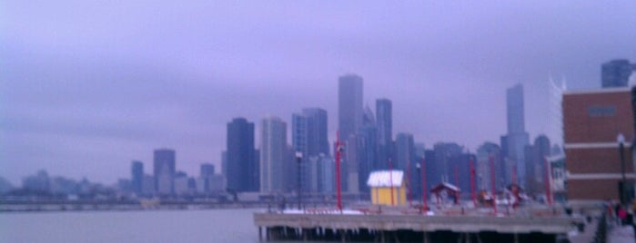 Navy Pier is one of All-time favorites in United States.