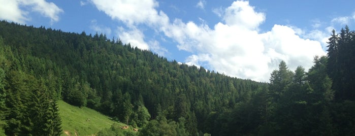 Black Forest is one of To visit in Europe.