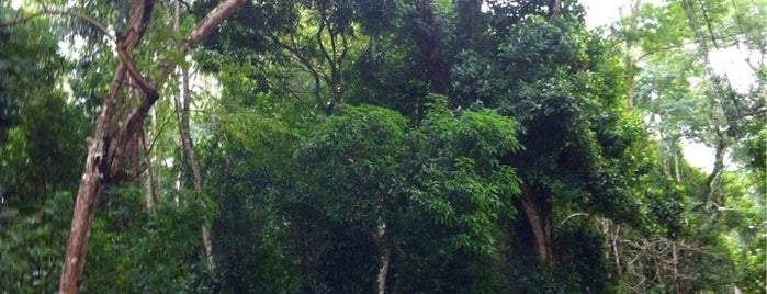 Horto Florestal is one of Ubatuba.
