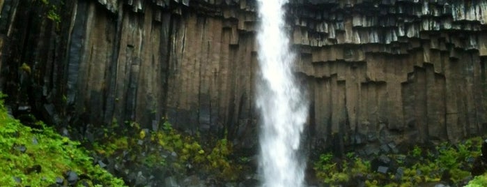 Svartifoss is one of Iceland 2016.