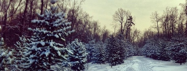 ПКиО «Фили» is one of красивые места для фотосессий.