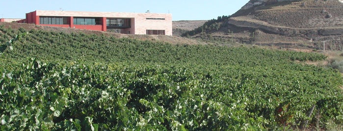 Bodegas Comenge is one of Spain.