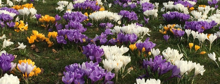 Roskilde Bypark is one of Namiさんのお気に入りスポット.