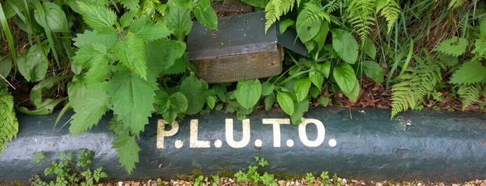 Pluto is one of Created.