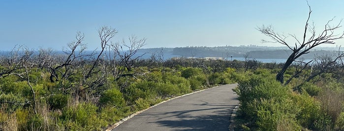 Fairfax Walk is one of Aussie Aussie Aussie.