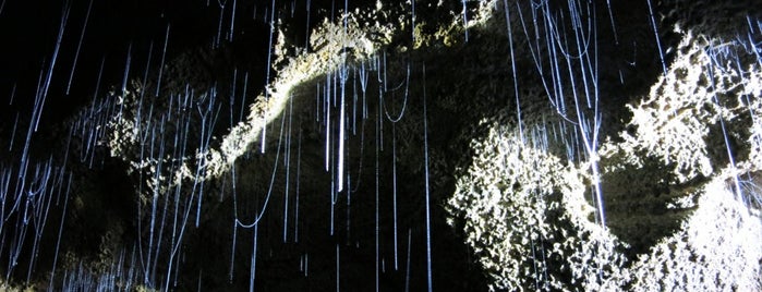 Waitomo Glowworm Caves is one of Caves.