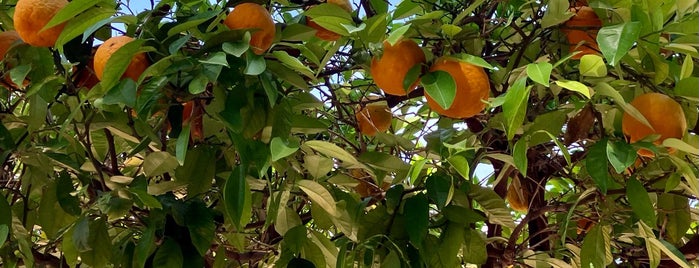 Jardin de la Koutoubia is one of Marokko 2019.