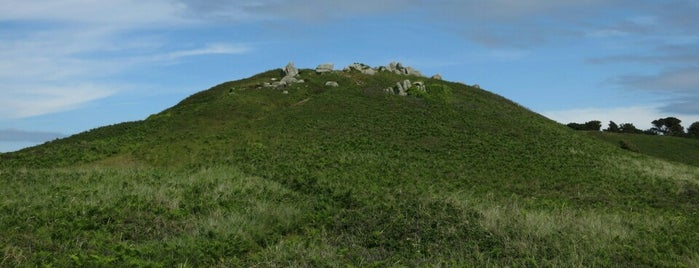 Neolithic Dolemans is one of Created.