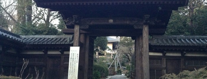 瑠璃山 薬王院（東長谷寺） is one of 江戶古寺70 / Historic Temples in Tokyo.