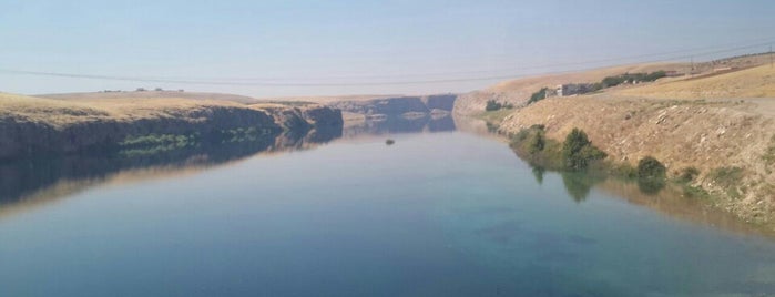 Fırat Nehri is one of Fusun'un Beğendiği Mekanlar.