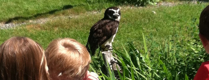 Raptor Center is one of 132 Hour Adventure.