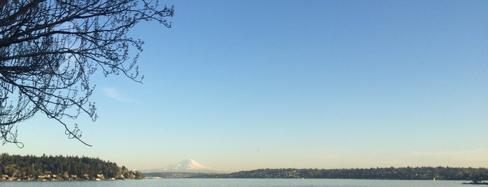 Seward Park is one of Seattle to do list.