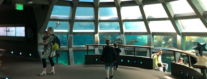 Underwater Dome is one of Posti che sono piaciuti a Gayla.
