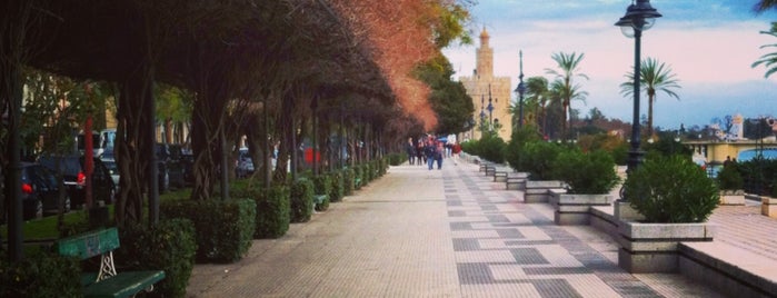 Paseo de Cristóbal Colón is one of Qué ver en Sevilla.