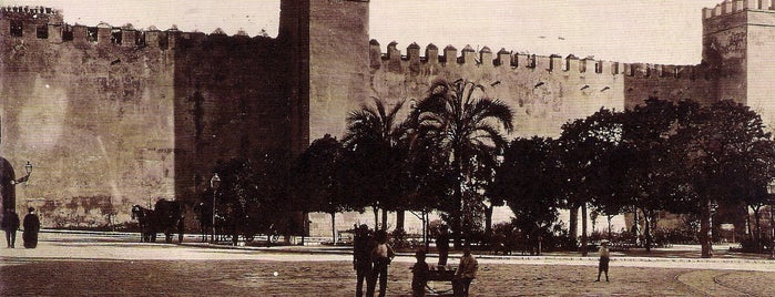 Royal Alcazar of Seville is one of Sevilla en Tres Días.