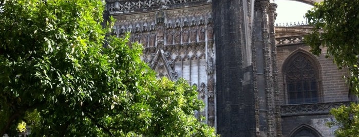 Patio de los Naranjos is one of Andalucía: Sevilla.