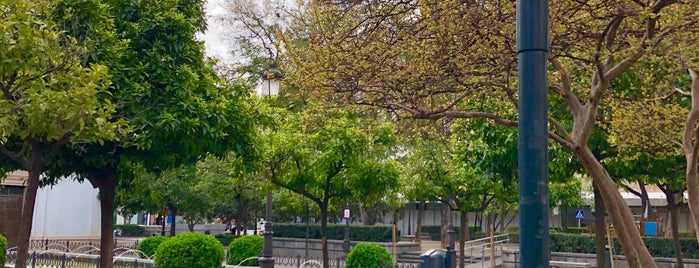 Plaza de La Concordia is one of Qué ver en Sevilla.