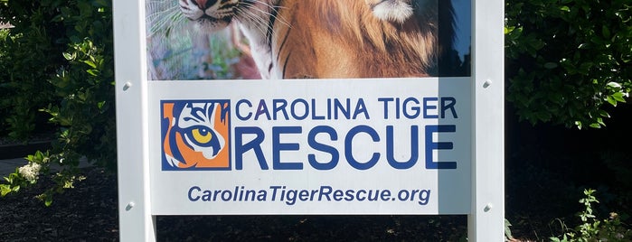 Carolina Tiger Rescue is one of Triangle To-Do.