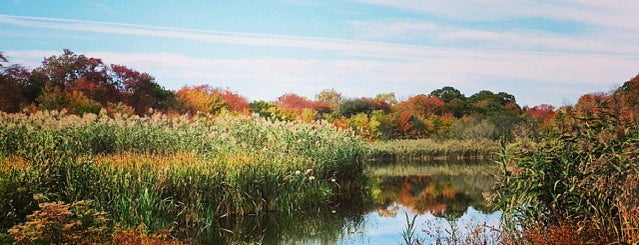 Massapequa Preserve is one of Orte, die seth gefallen.