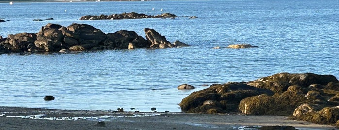 Waikiki Beach at Winter Island is one of Salem.