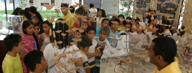 Museu da Amazônia (MUSA) is one of Pontos Culturais | Manaus Barés.