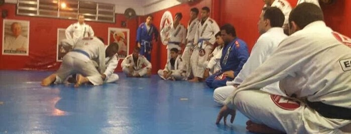 Gracie Barra is one of rotina.