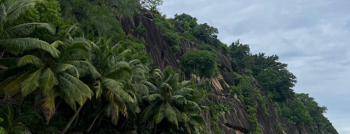 Four Seasons Resort Seychelles is one of RAREFIED.