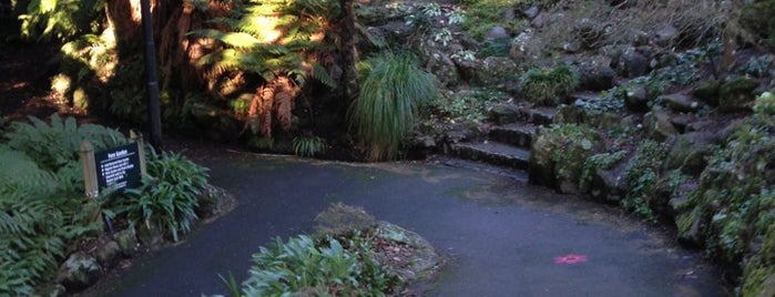 Wellington Botanic Garden is one of Best places in New Zealand.