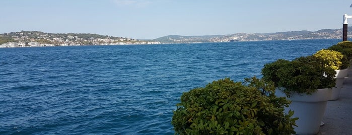 Ajıa Restaurant is one of Orte, die Timur gefallen.