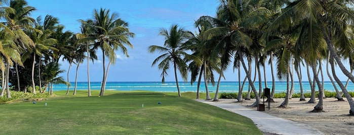 Tortuga Bay Hotel Punta Cana is one of Fave Hotels & Resorts.