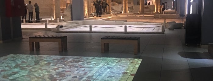 Zeugma Mozaik Müzesi is one of Azra : понравившиеся места.