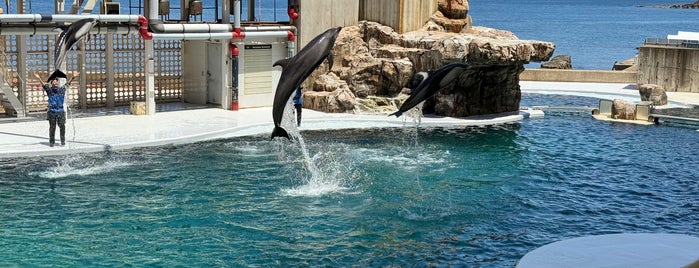 Kinosaki Marine World is one of Must-go aquariums and zoos.