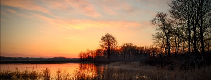 Wingfoot Lake State Park is one of OHIO.