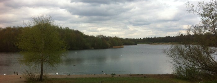 Forge Mill Lake is one of Birmingham Born and Bred.