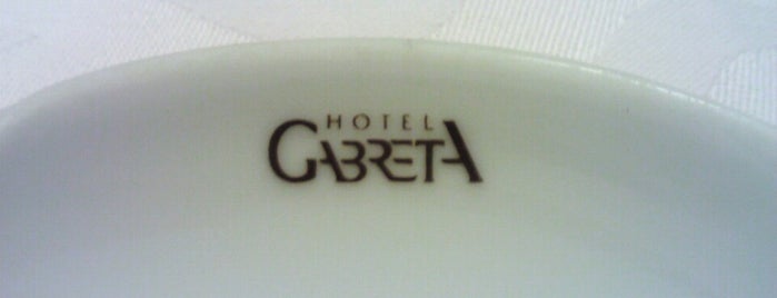 Hotel Gabreta is one of Sumava Bohmerwald Bohemian forest (Czech Republic).