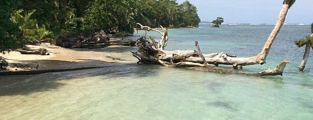 Isla Zapatilla is one of Panamá.