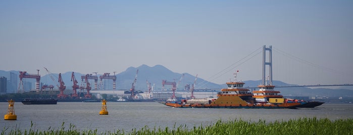 润扬大桥 is one of 橋/陸橋.