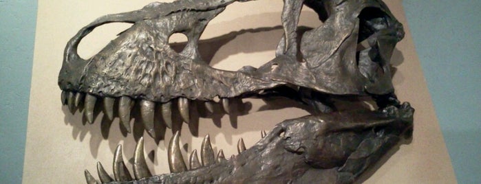 Mesalands Dinosaur Museum is one of Orte, die Rickard gefallen.