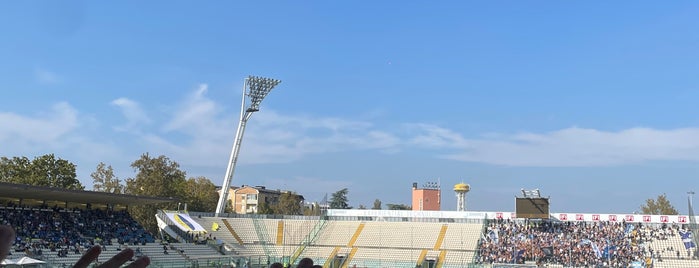 Stadio Alberto Braglia is one of Stadi Serie B.