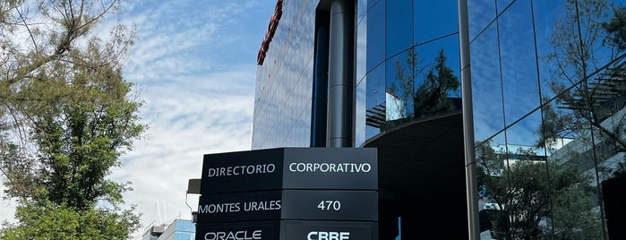 Oracle de México is one of everis México.