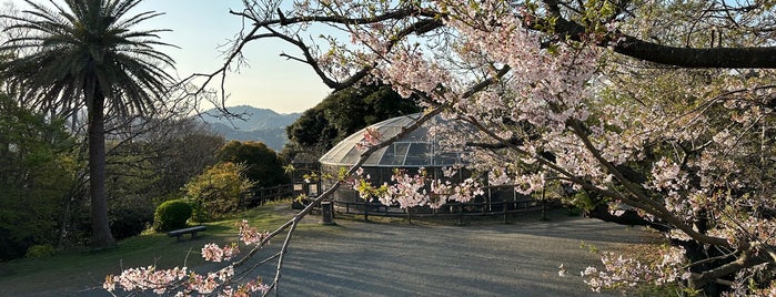 披露山のサル山 is one of 鎌倉逗子葉山.