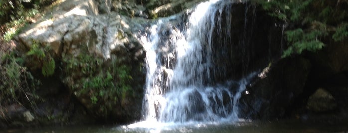 Patapsco State Park - Cascade Falls Trailhead is one of Waterfalls.