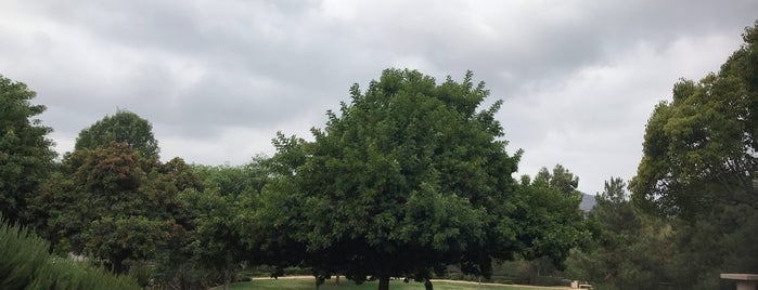 Mulberry Park is one of Tempat yang Disukai Christopher.