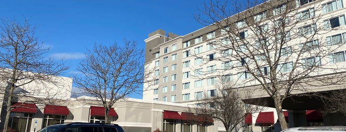 Bridgewater Marriott is one of Hotels stayed at.