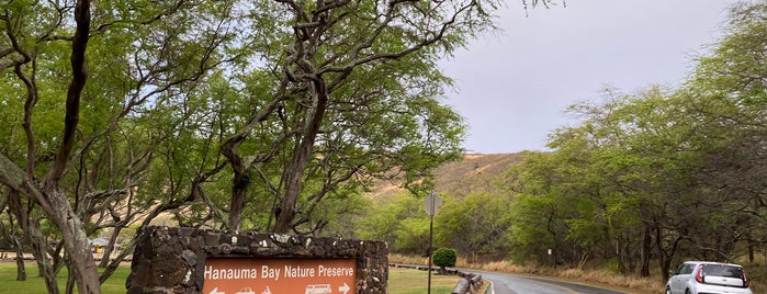 Hanauma Bay is one of Hawaii Honeymoon.